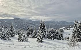 Панорама Стойките Яна апартамент